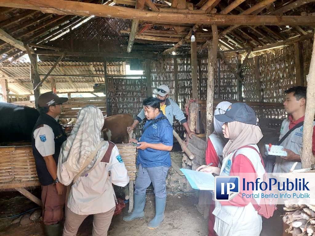 Probolinggo Regency Conducts Post-Vaccination Surveillance for Foot and Mouth Disease in Kuripan District